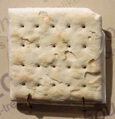 A square cracker, kind of looks like a large Saltine cracker