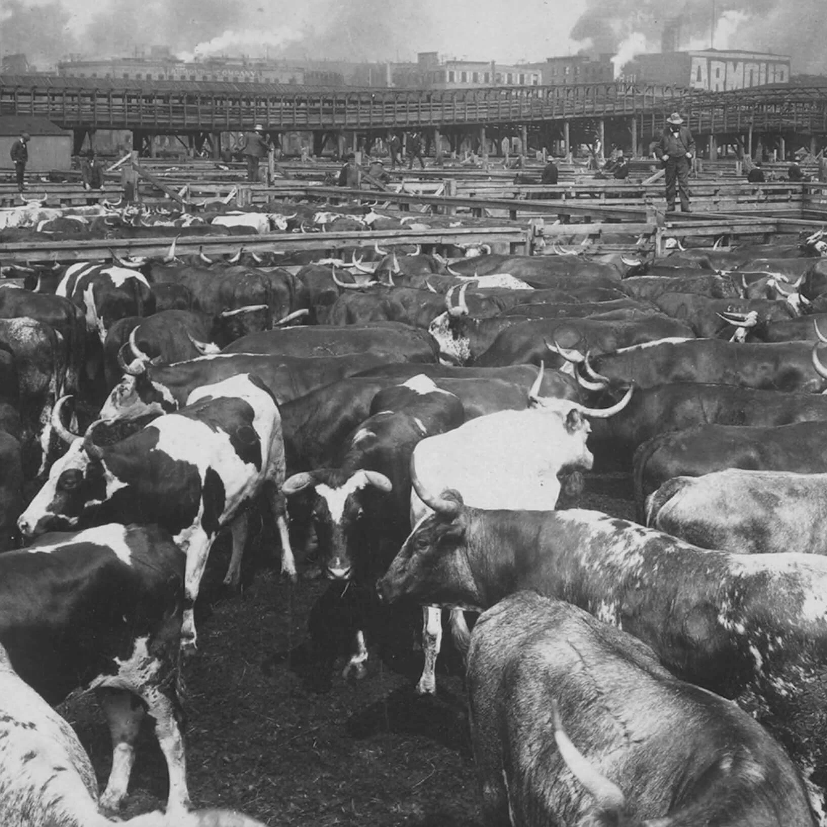 Cows are standing in a series of corrals with a man standing on the fence posts. Buildings and smokestacks are in the background.