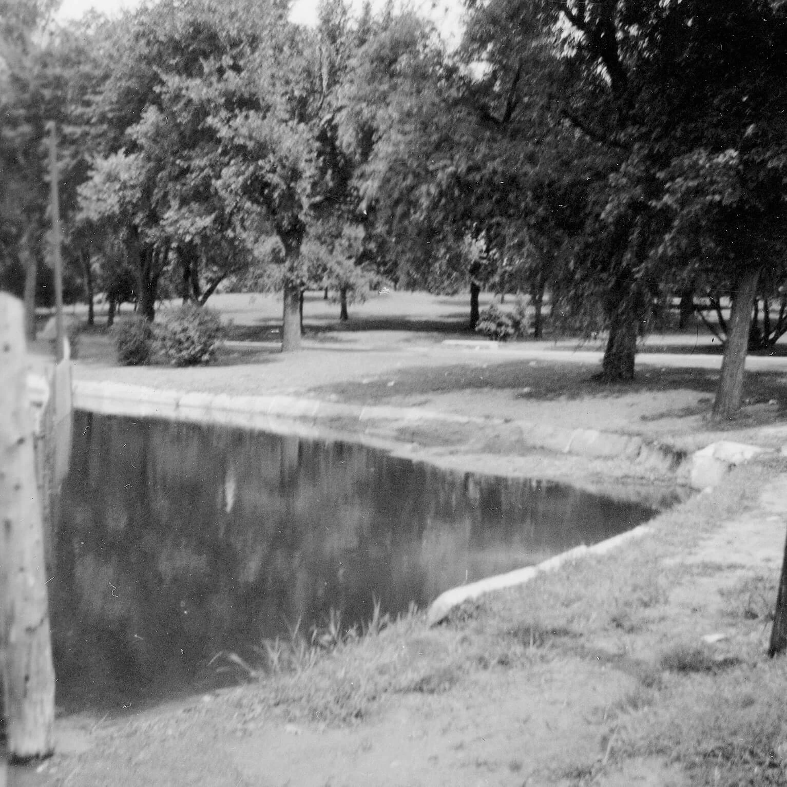 Black and white photo of the lake shoreline, which is grassy and a concrete curb.