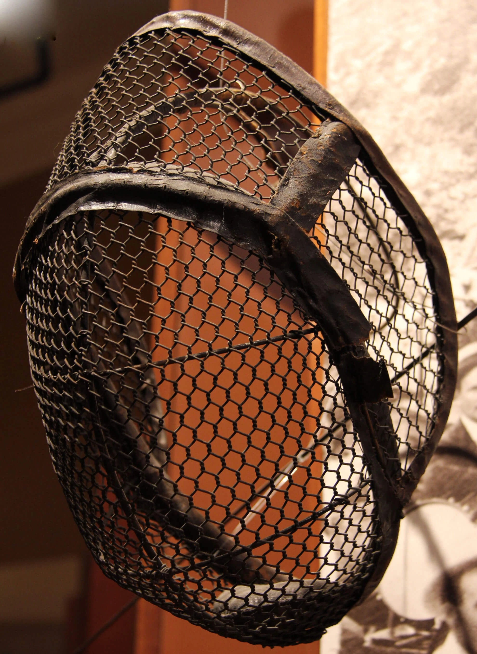 A sturdy black metal mesh cage that fits over ones head.
